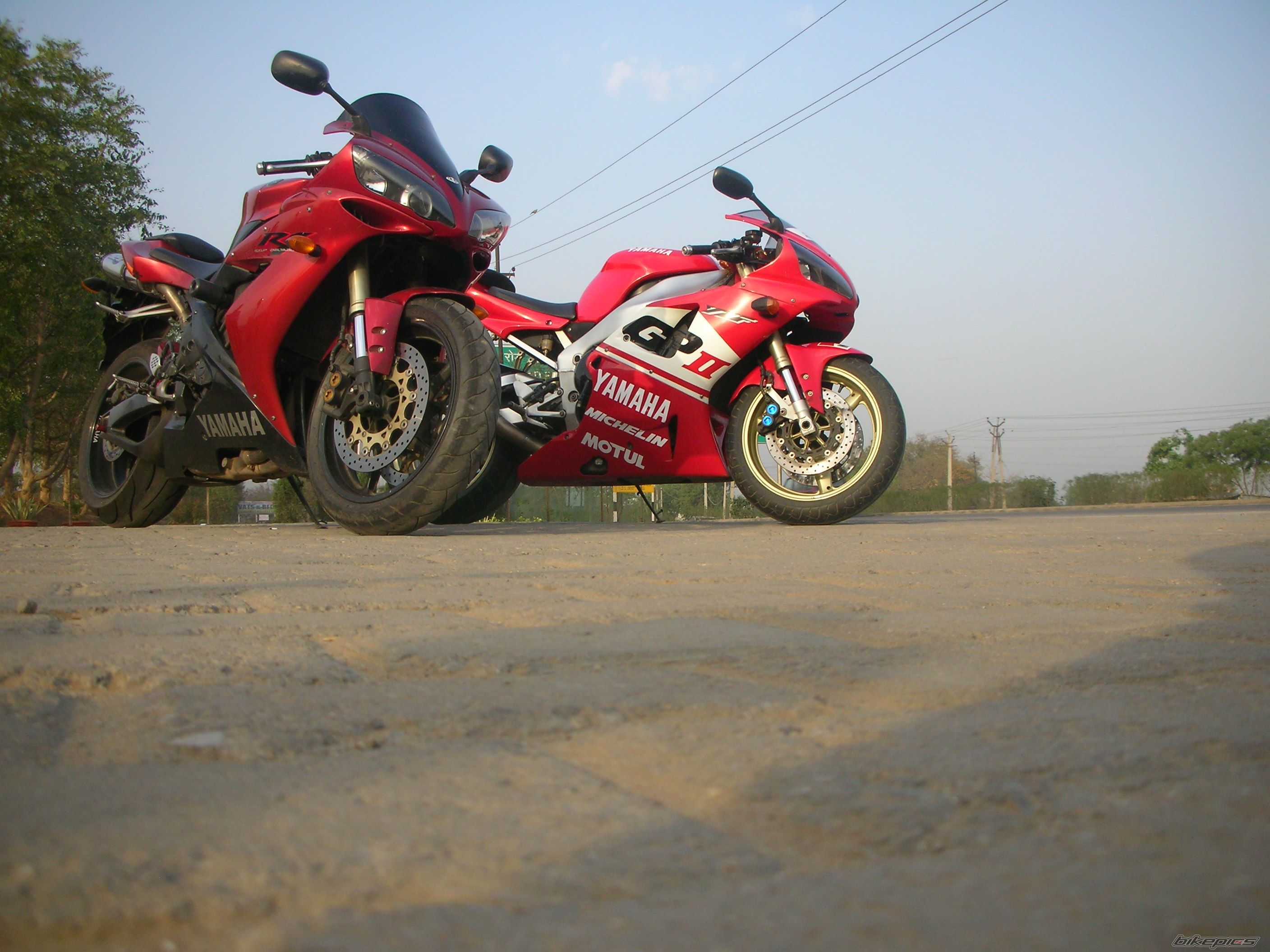 Photo 1264391