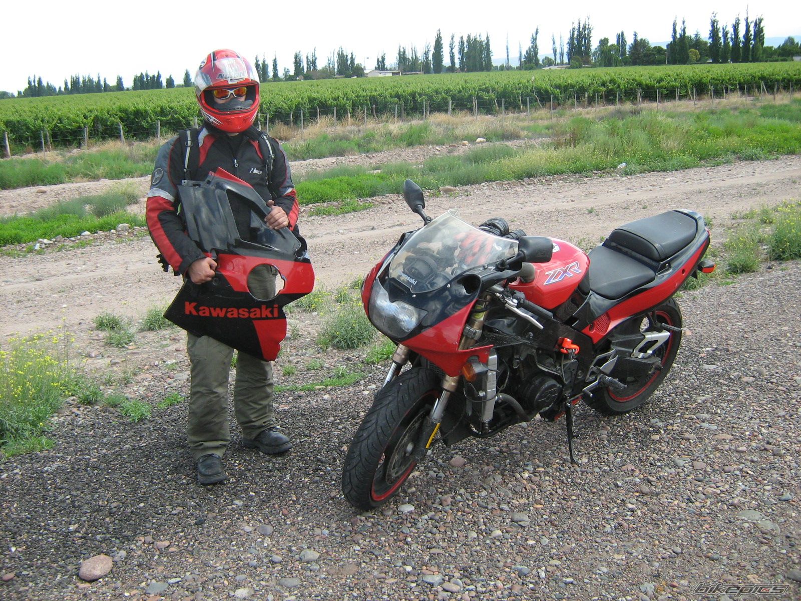 Photo 1264407