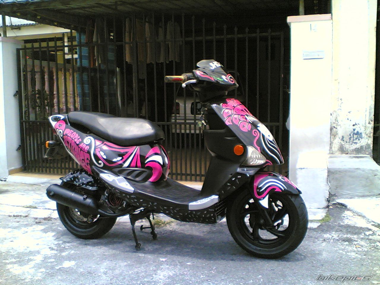 Photo 1264459