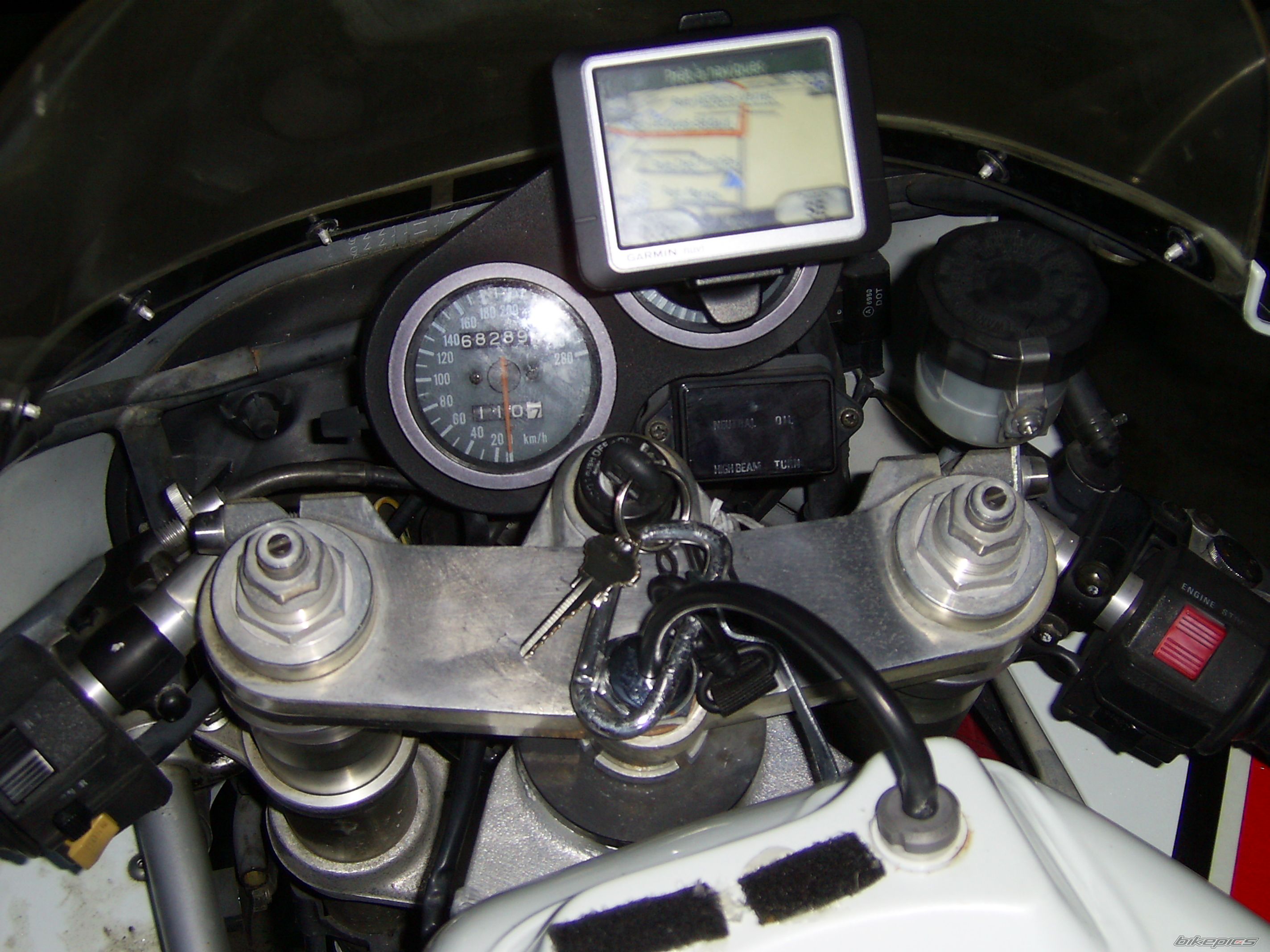 Photo 1264468
