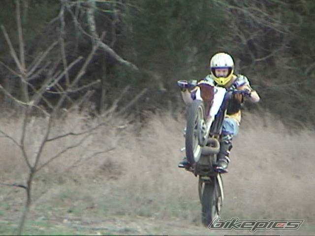 Photo 126449