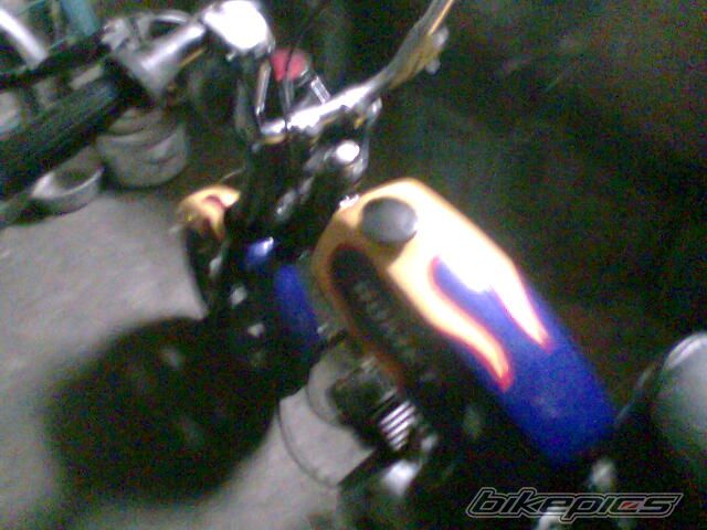Photo 1264560