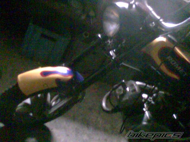 Photo 1264561