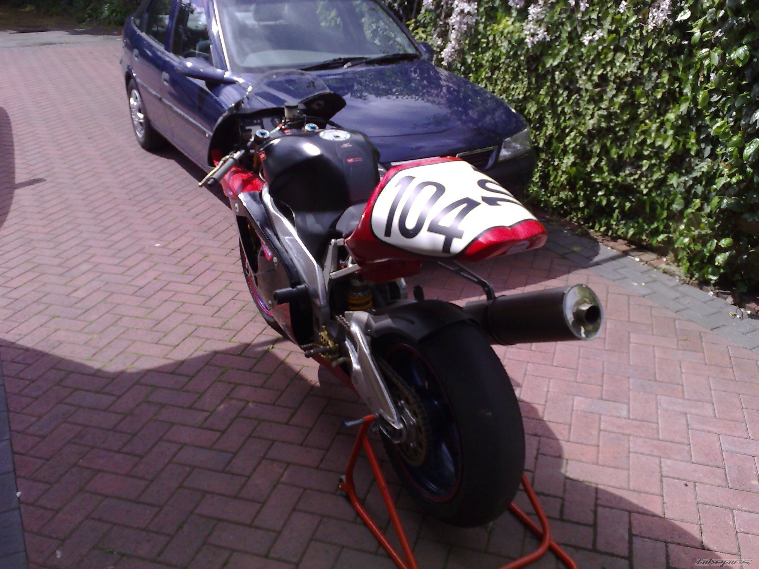 Photo 1264585