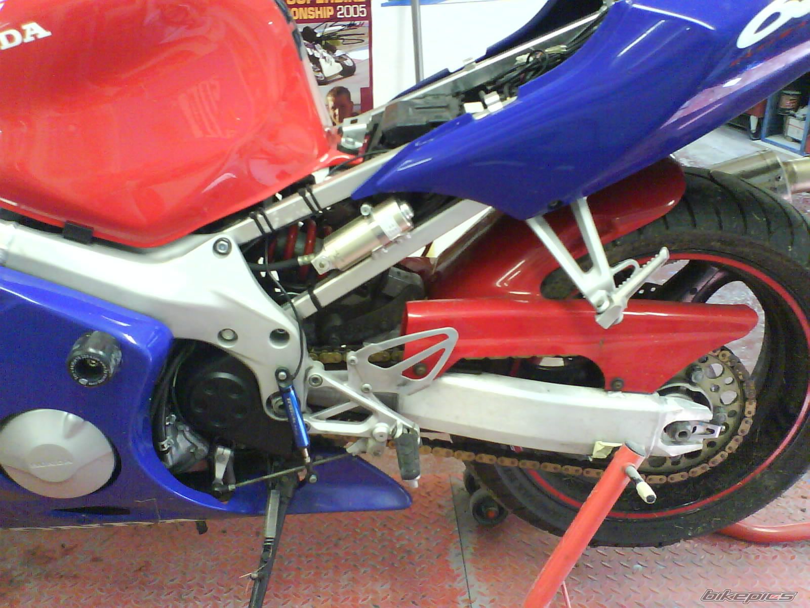 Photo 1264597