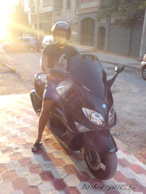 Photo 1264602