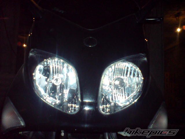 Photo 1264607