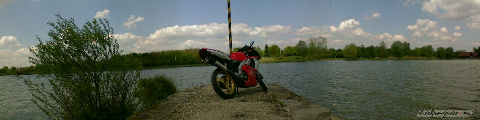 Photo 1264614