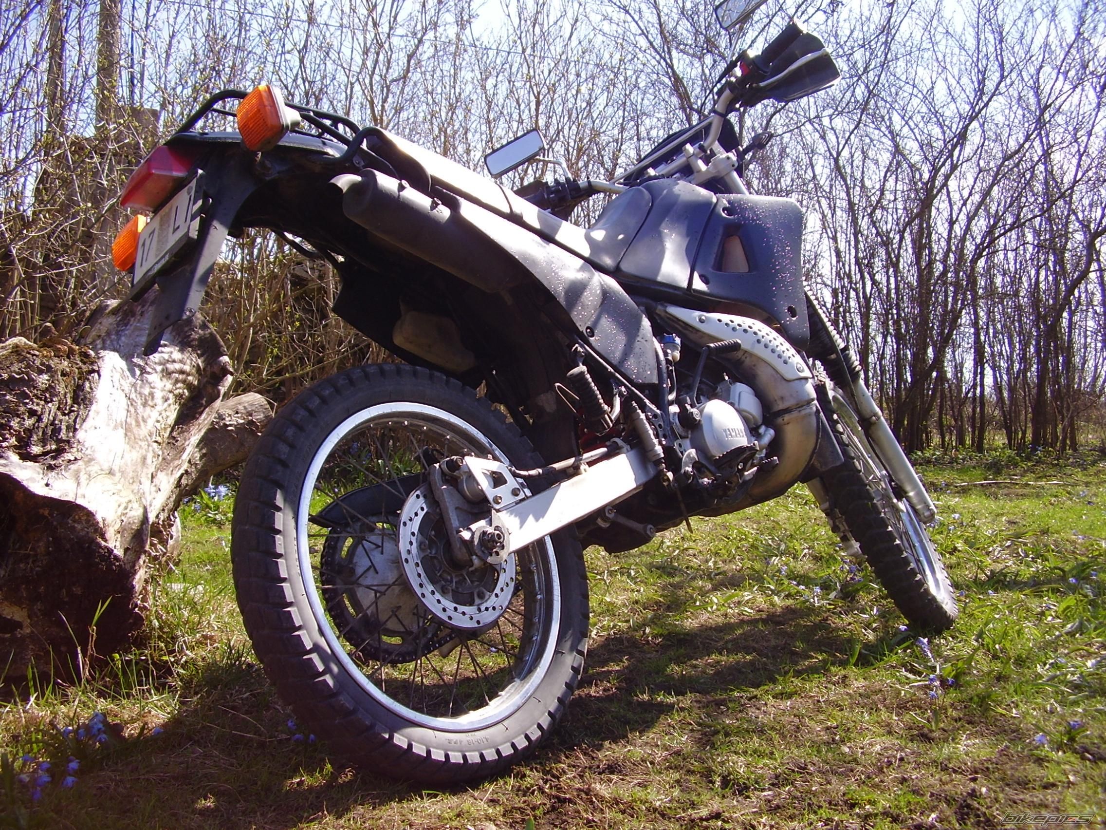 Photo 1264615