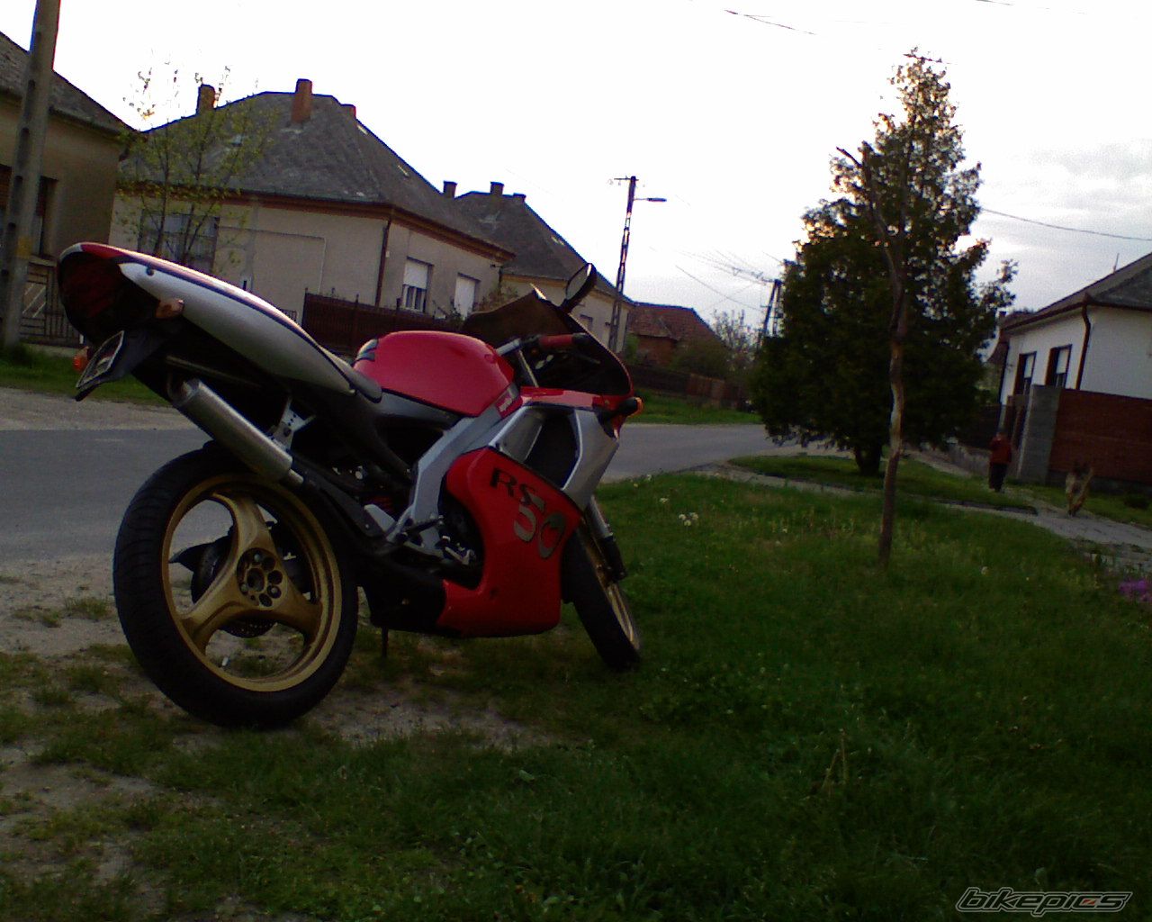 Photo 1264626