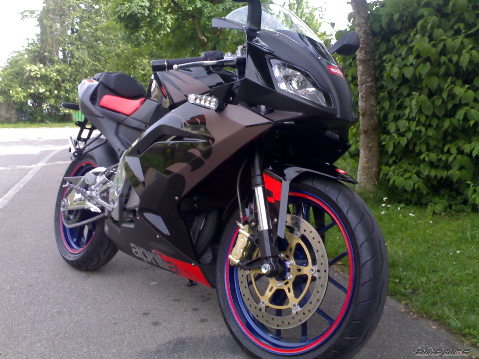 Photo 1264627