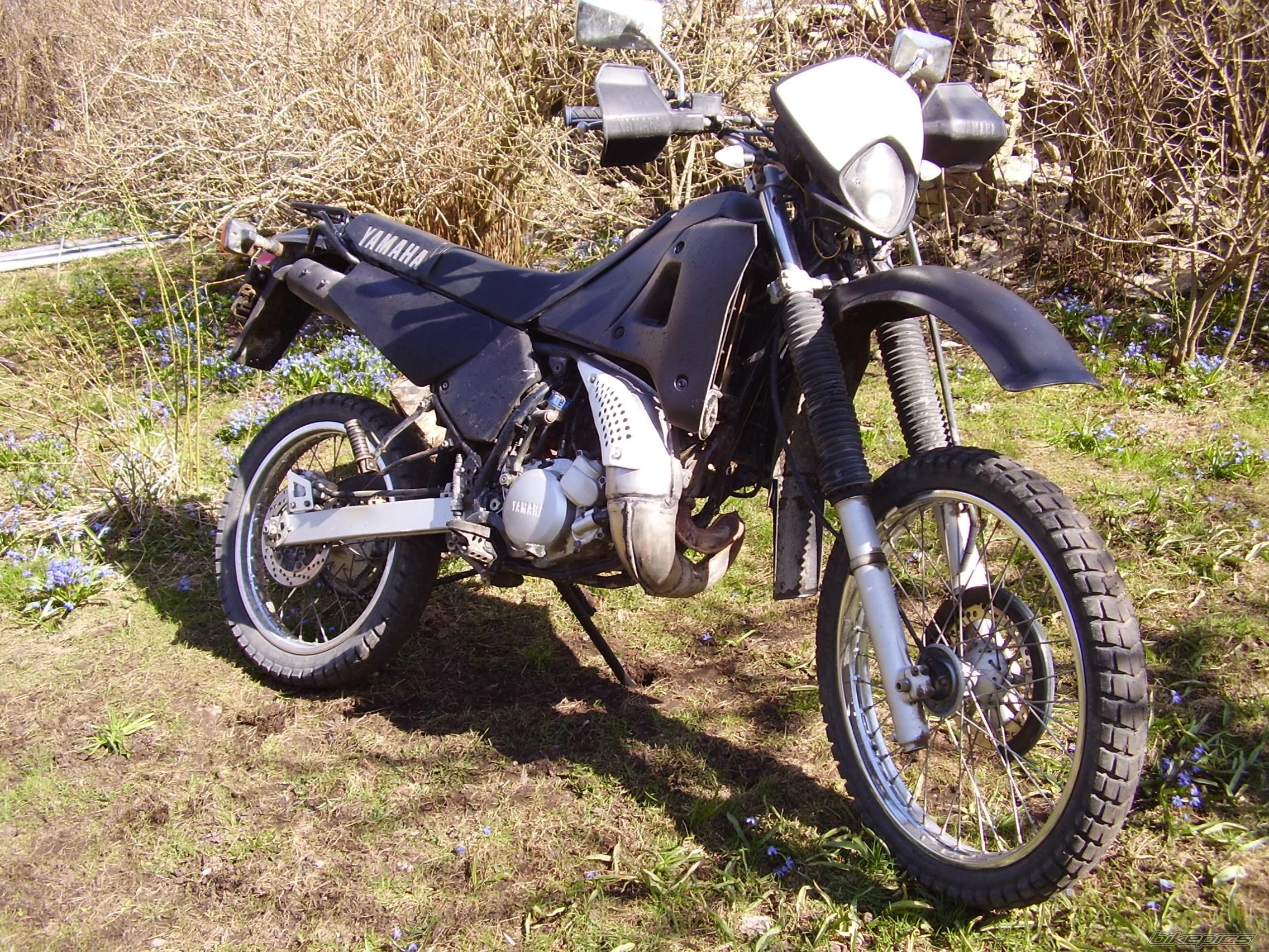 Photo 1264631
