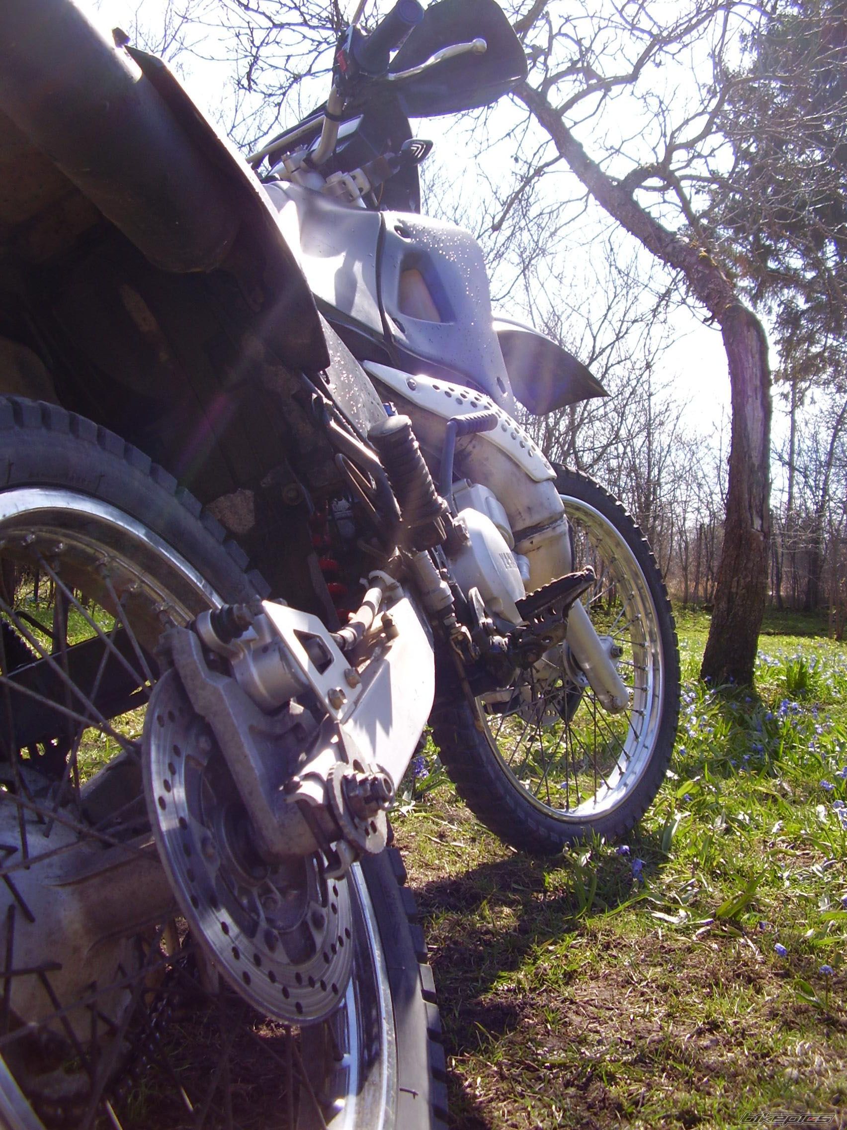 Photo 1264640