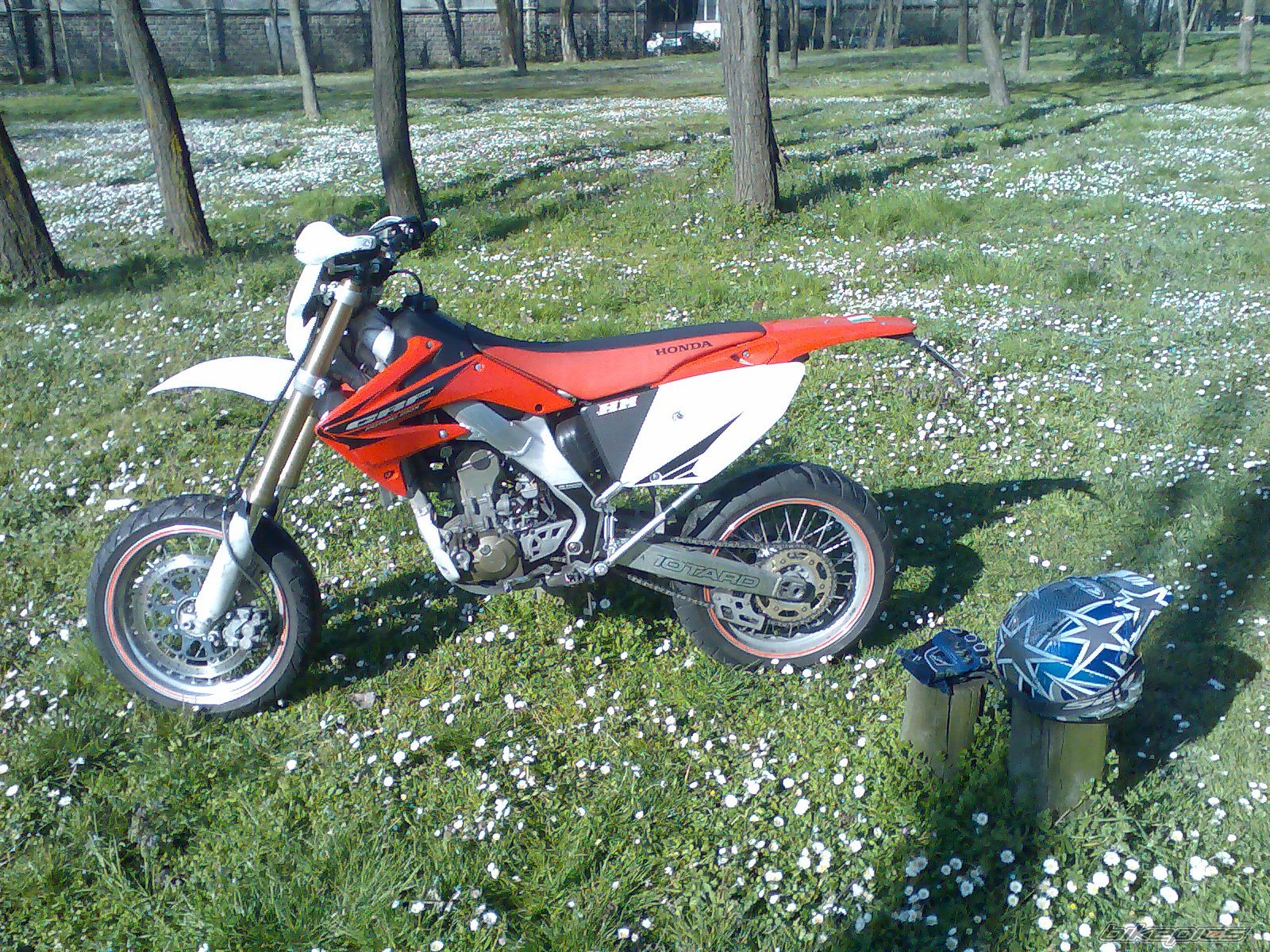 Photo 1264711
