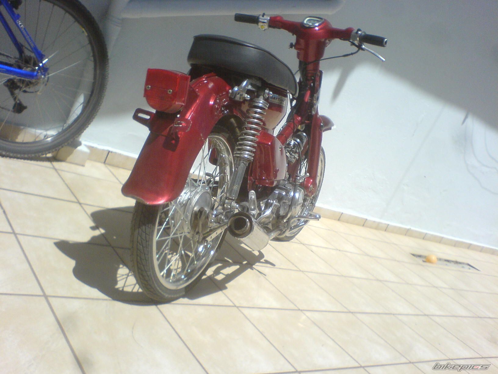Photo 1264742