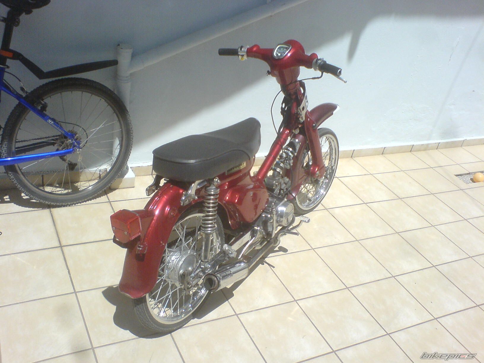 Photo 1264743
