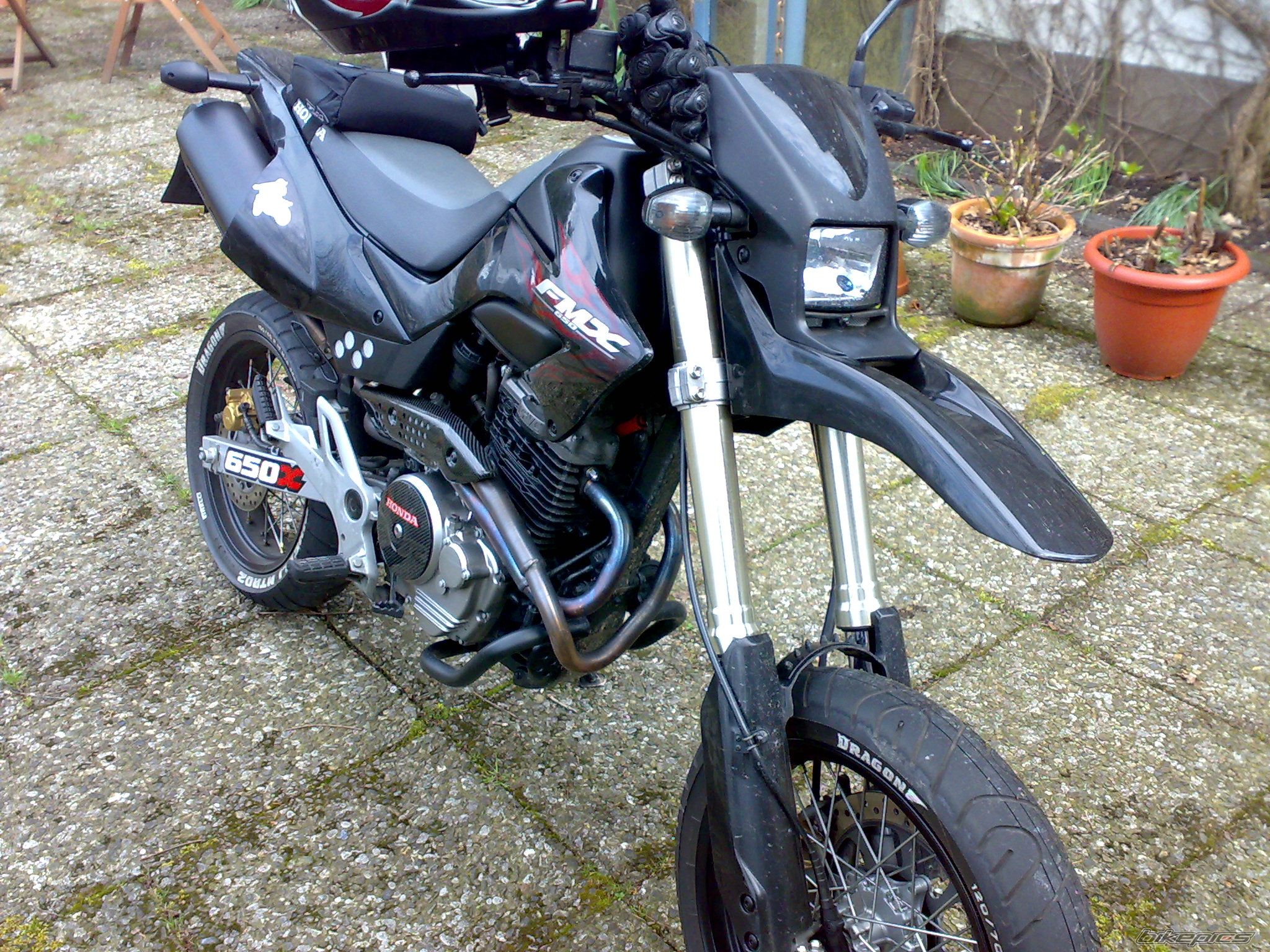 Photo 1264778