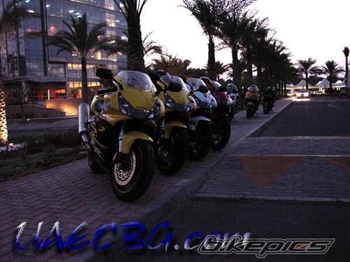Photo 126478