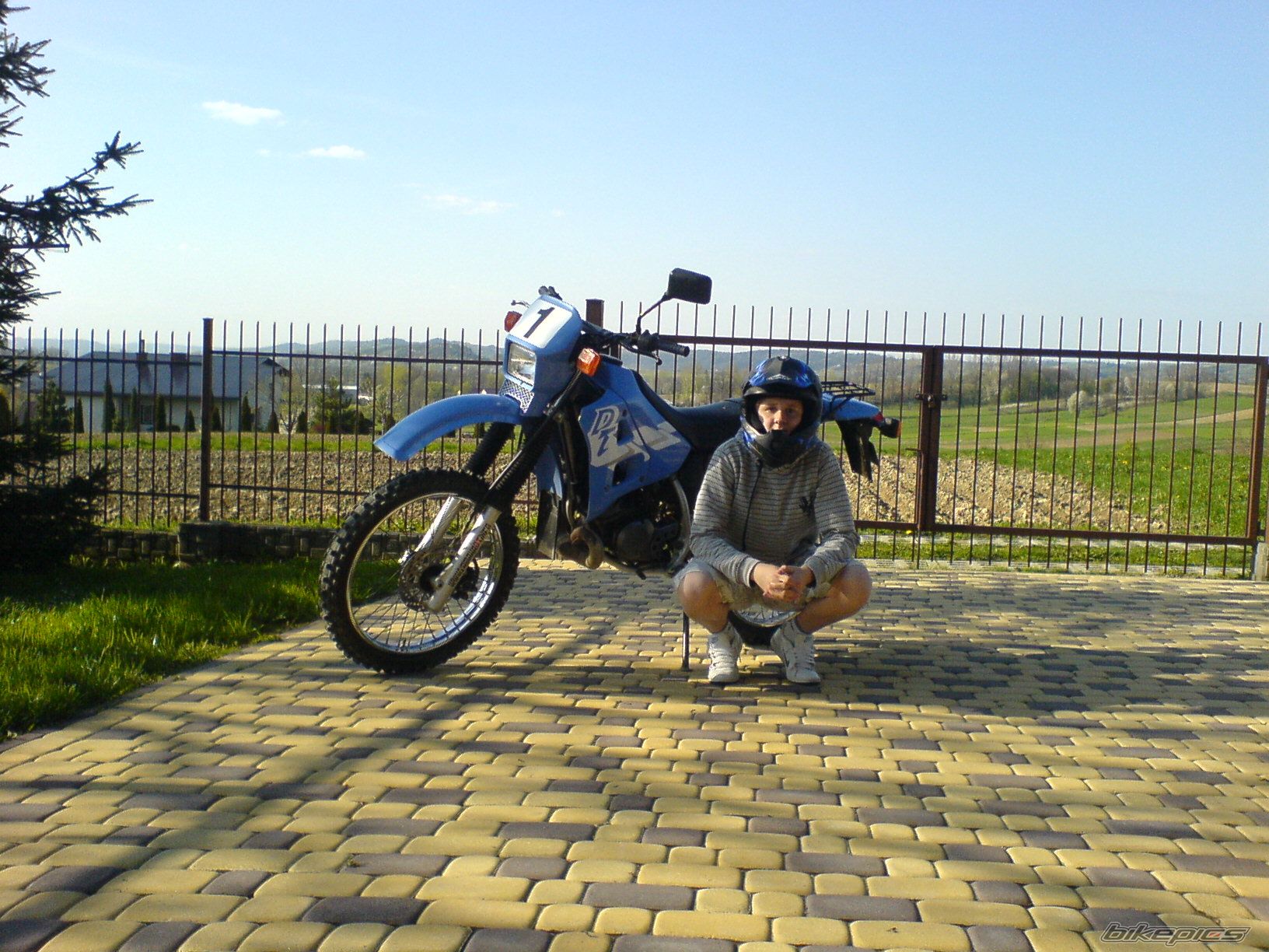 Photo 1264792