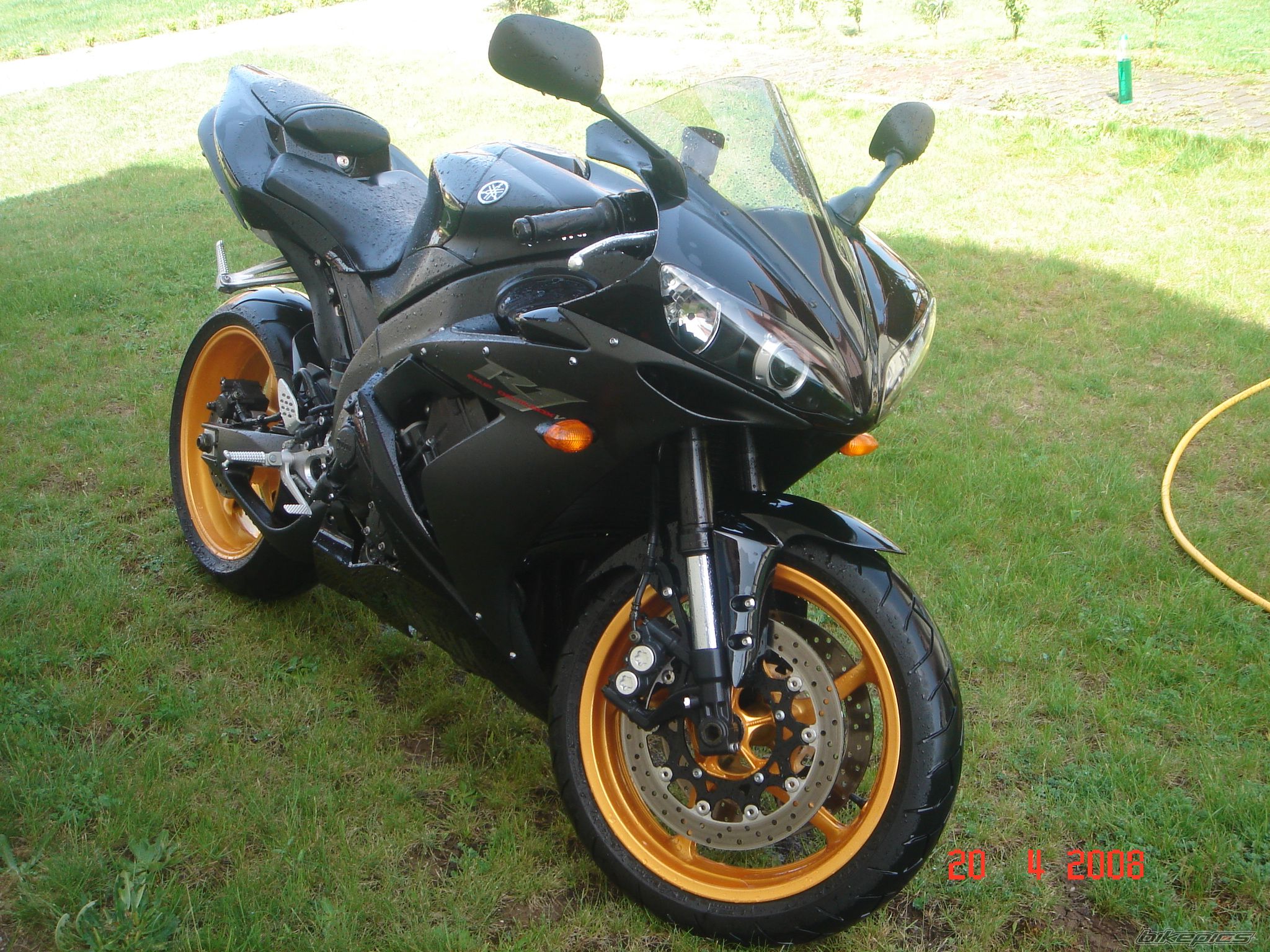Photo 1264803