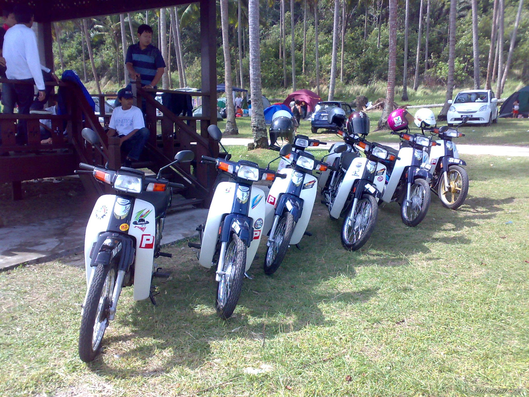 Photo 1264818
