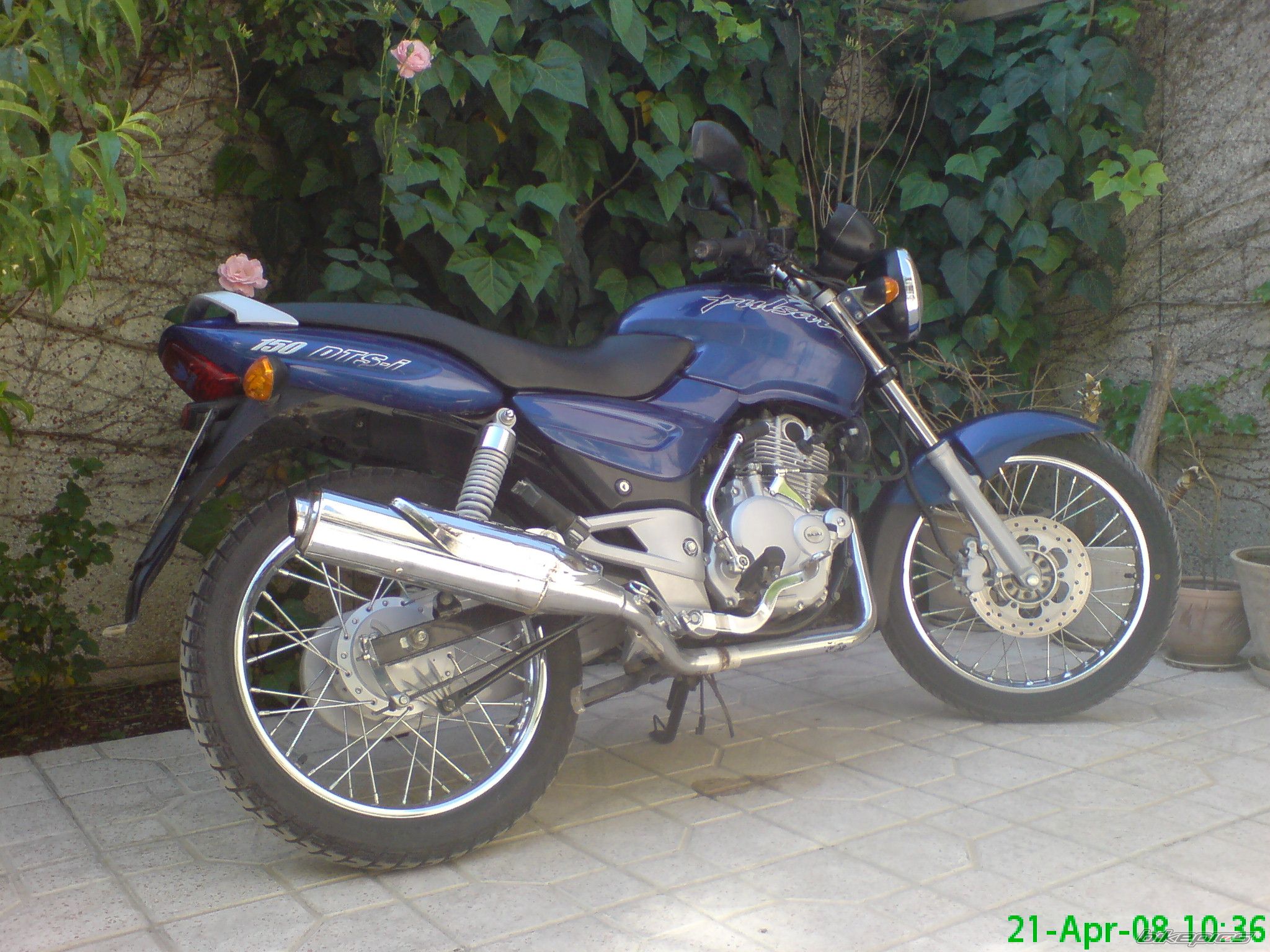 Photo 1264870