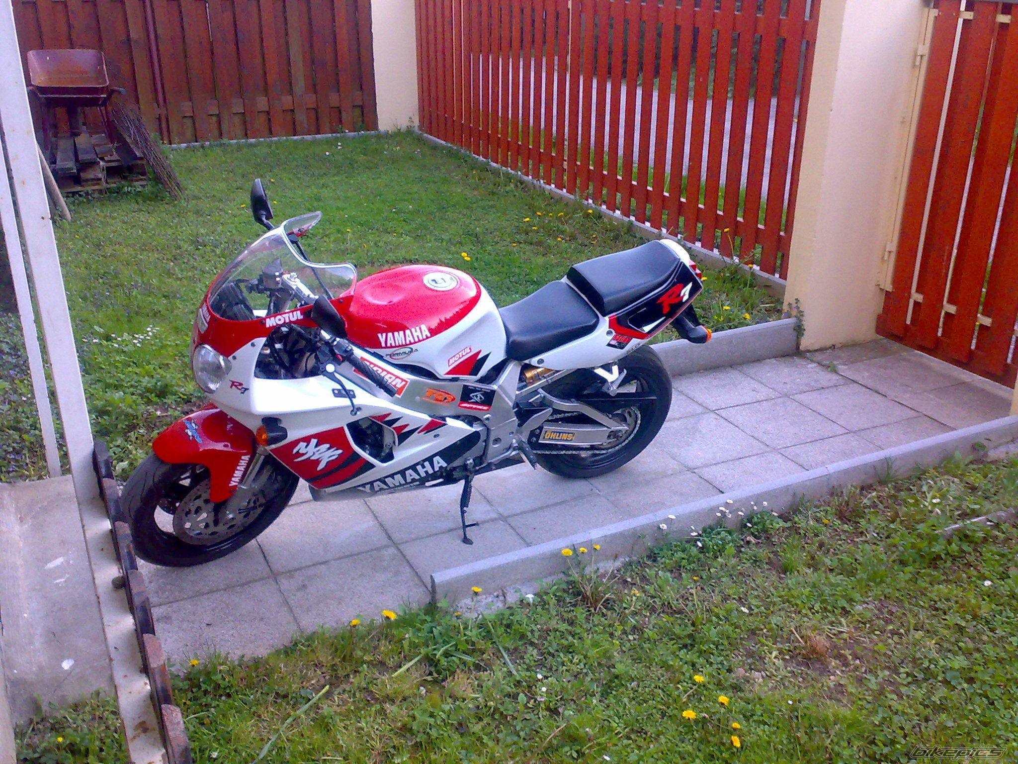 Photo 1264884