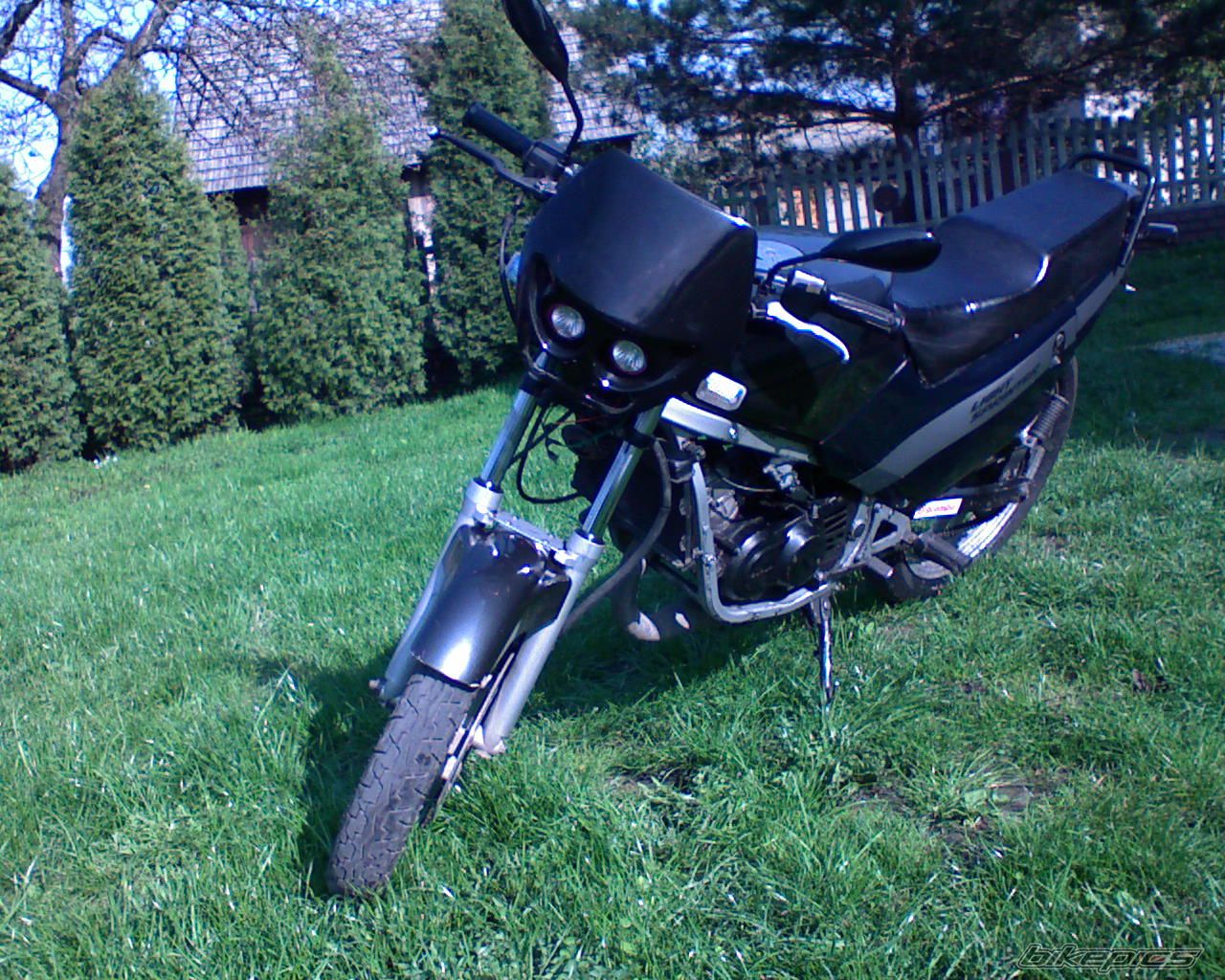 Photo 1264905