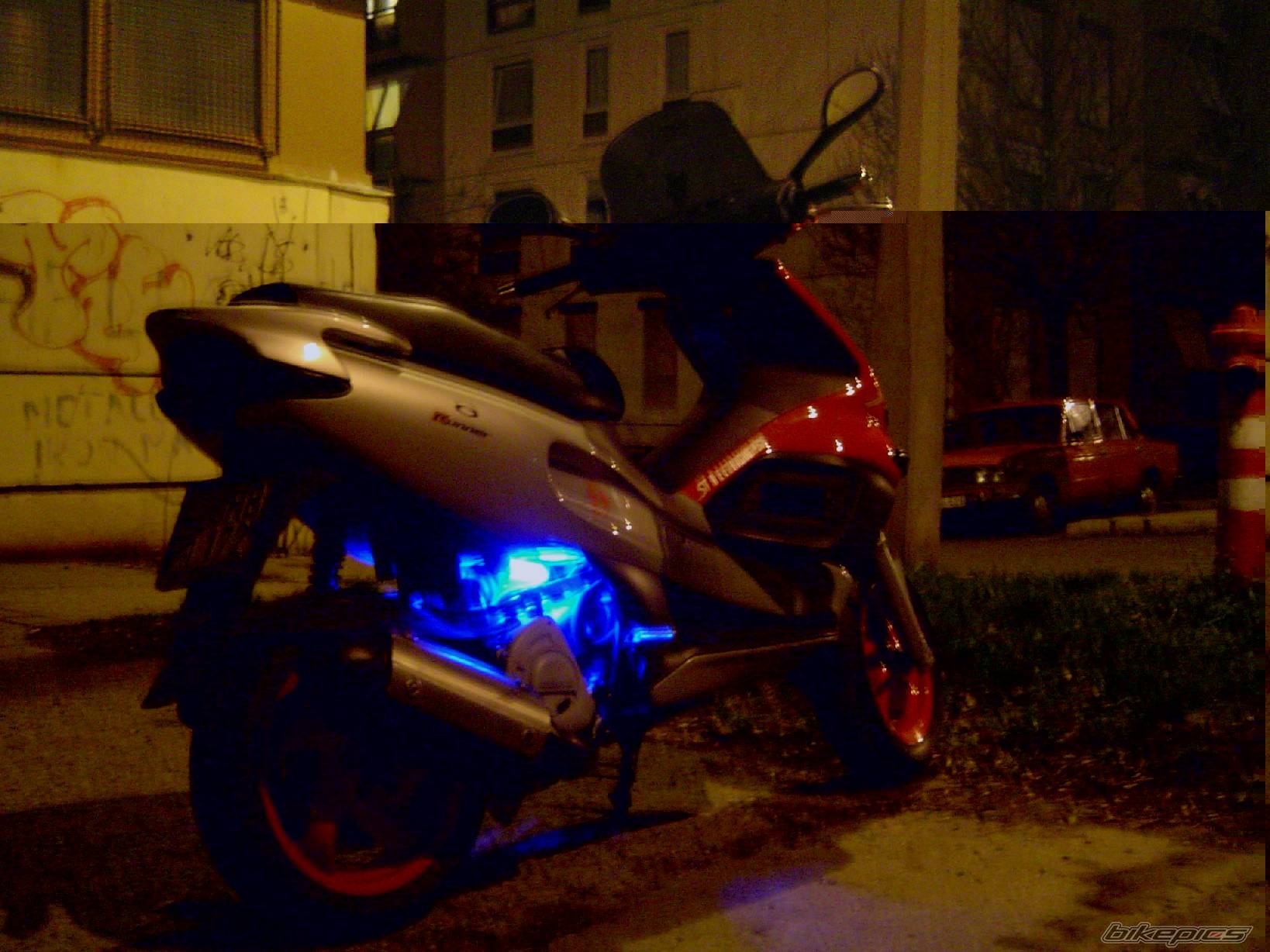 Photo 126491