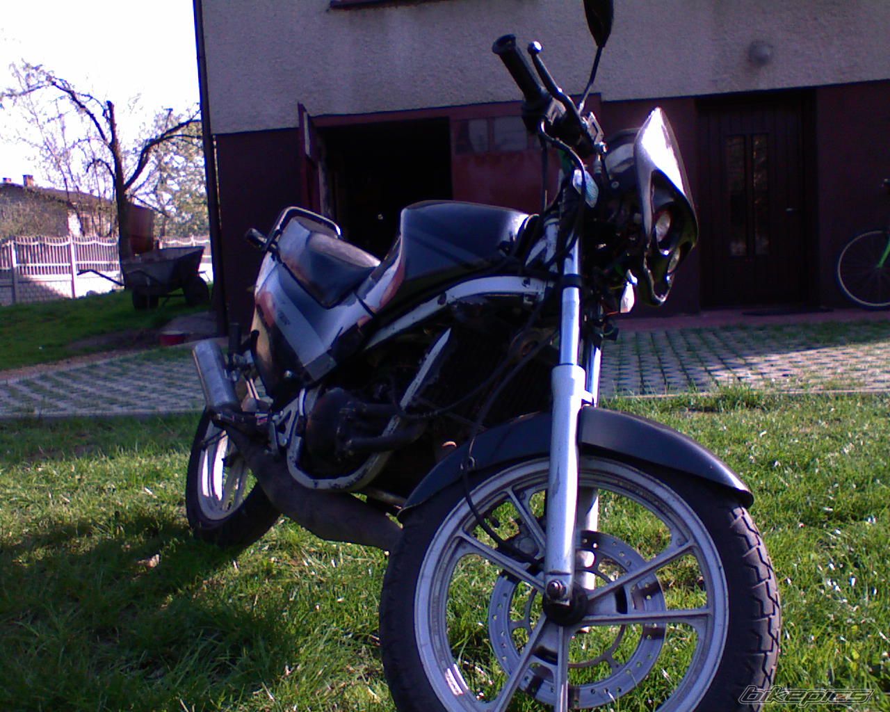Photo 1264911