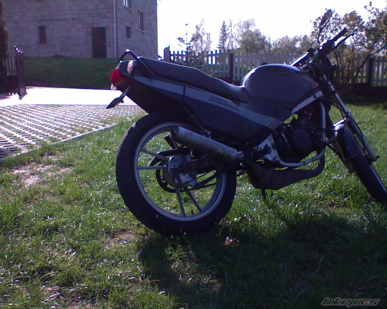 Photo 1264916