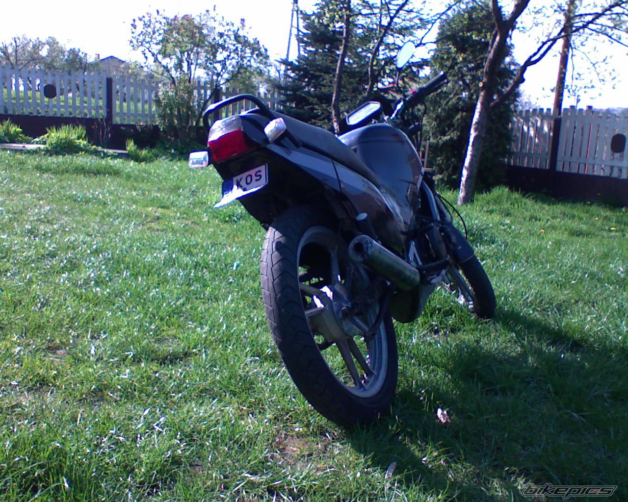 Photo 1264919