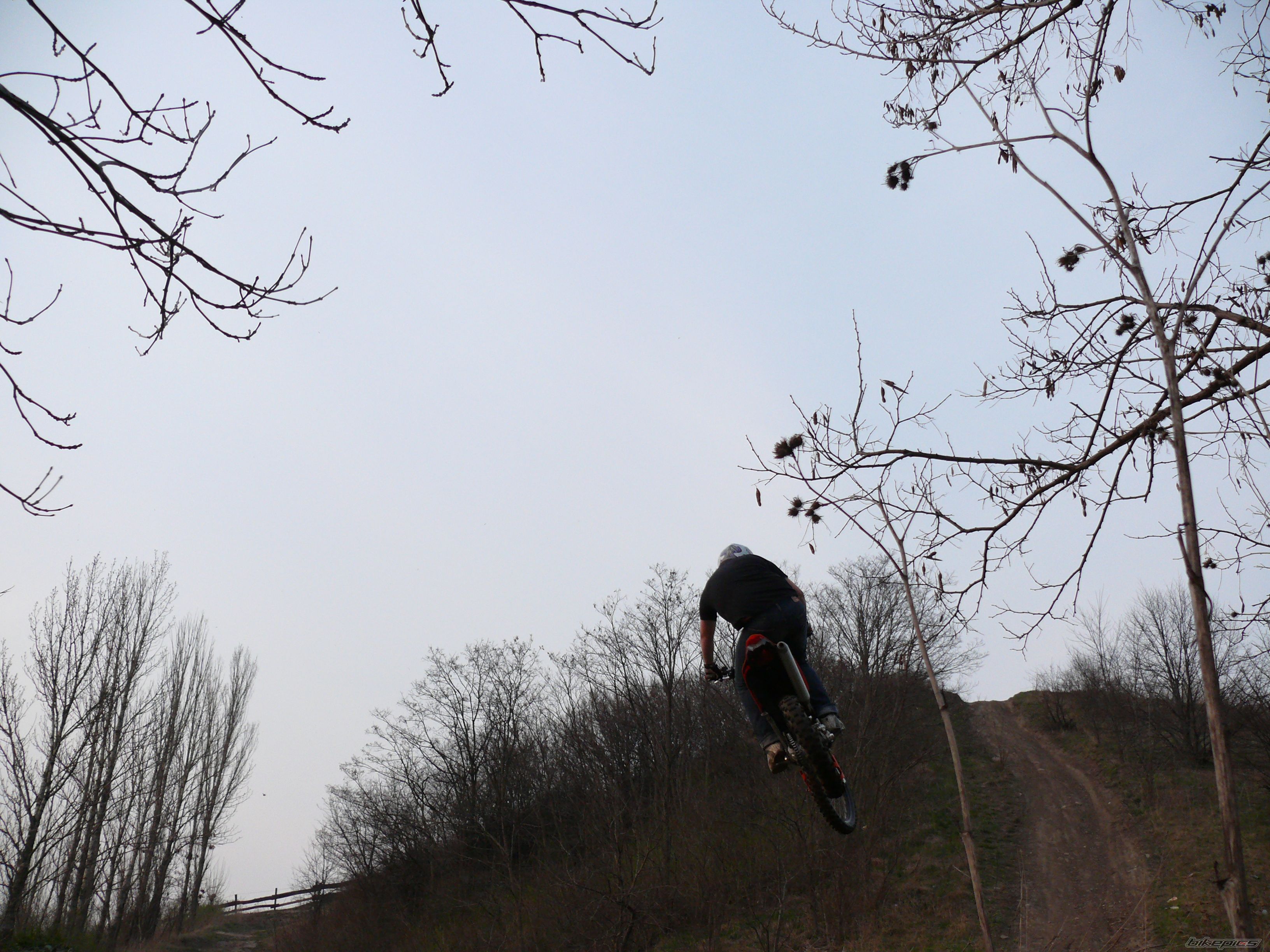 Photo 1264923