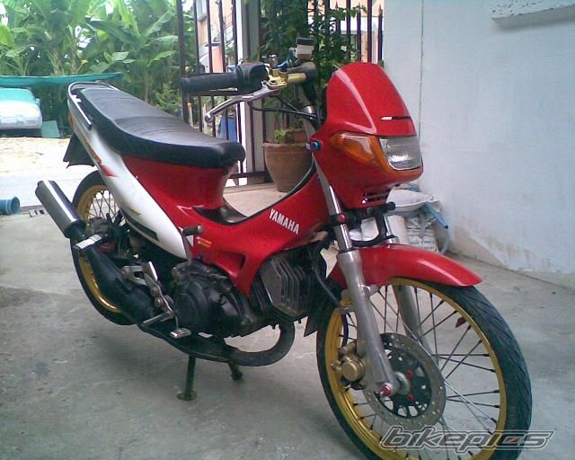 Photo 1264944