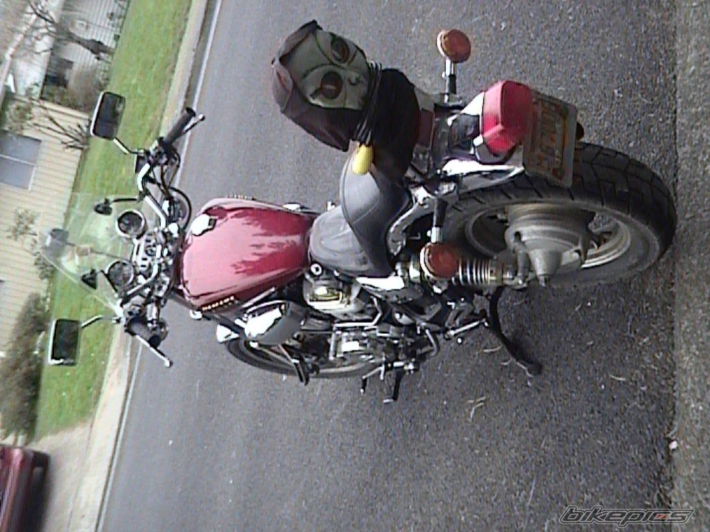 Photo 1264954