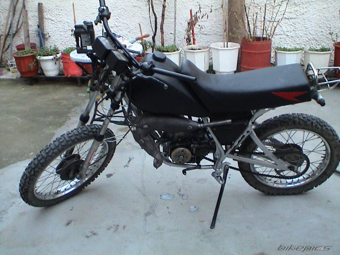 Photo 126496