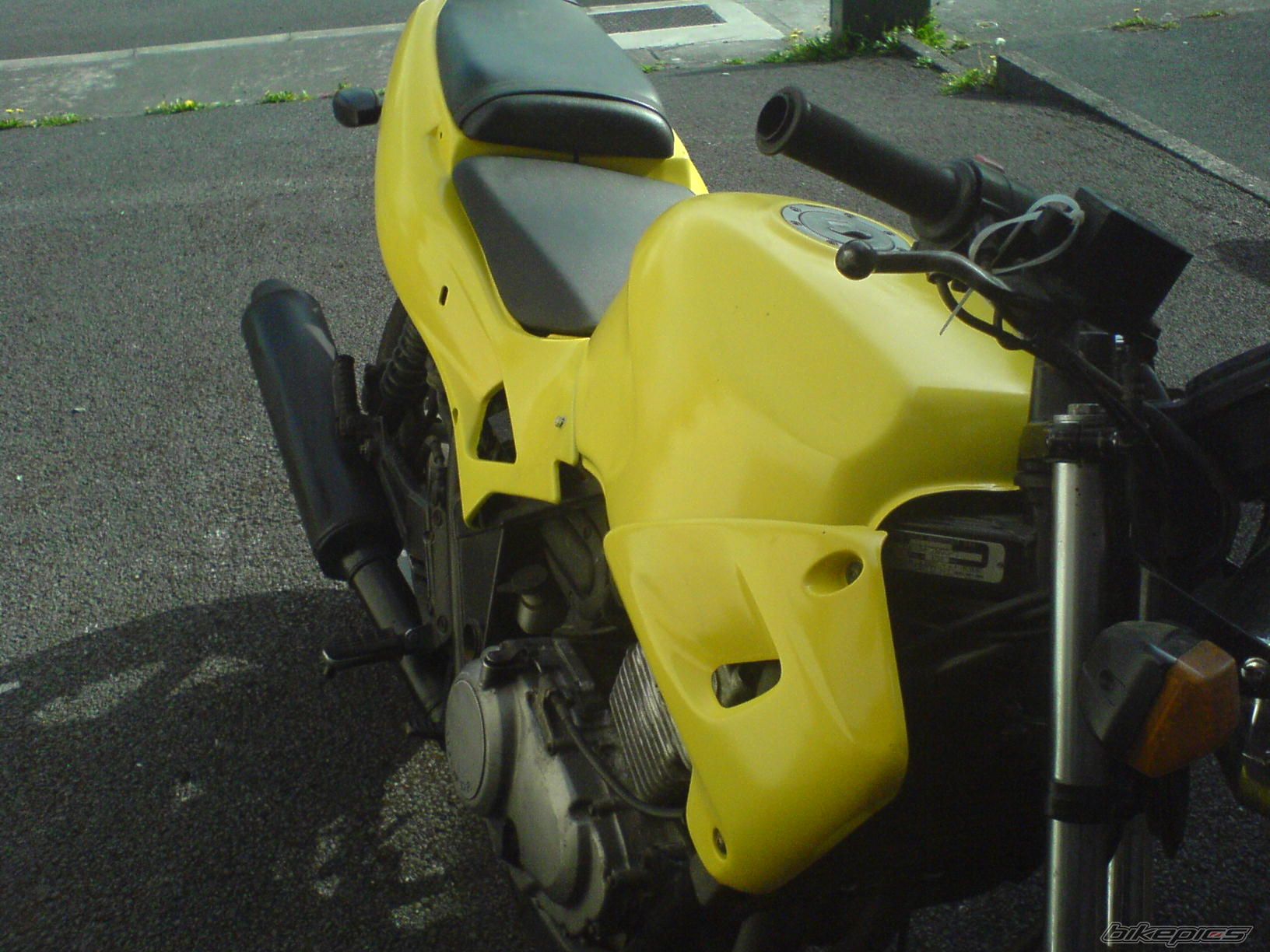 Photo 1264961