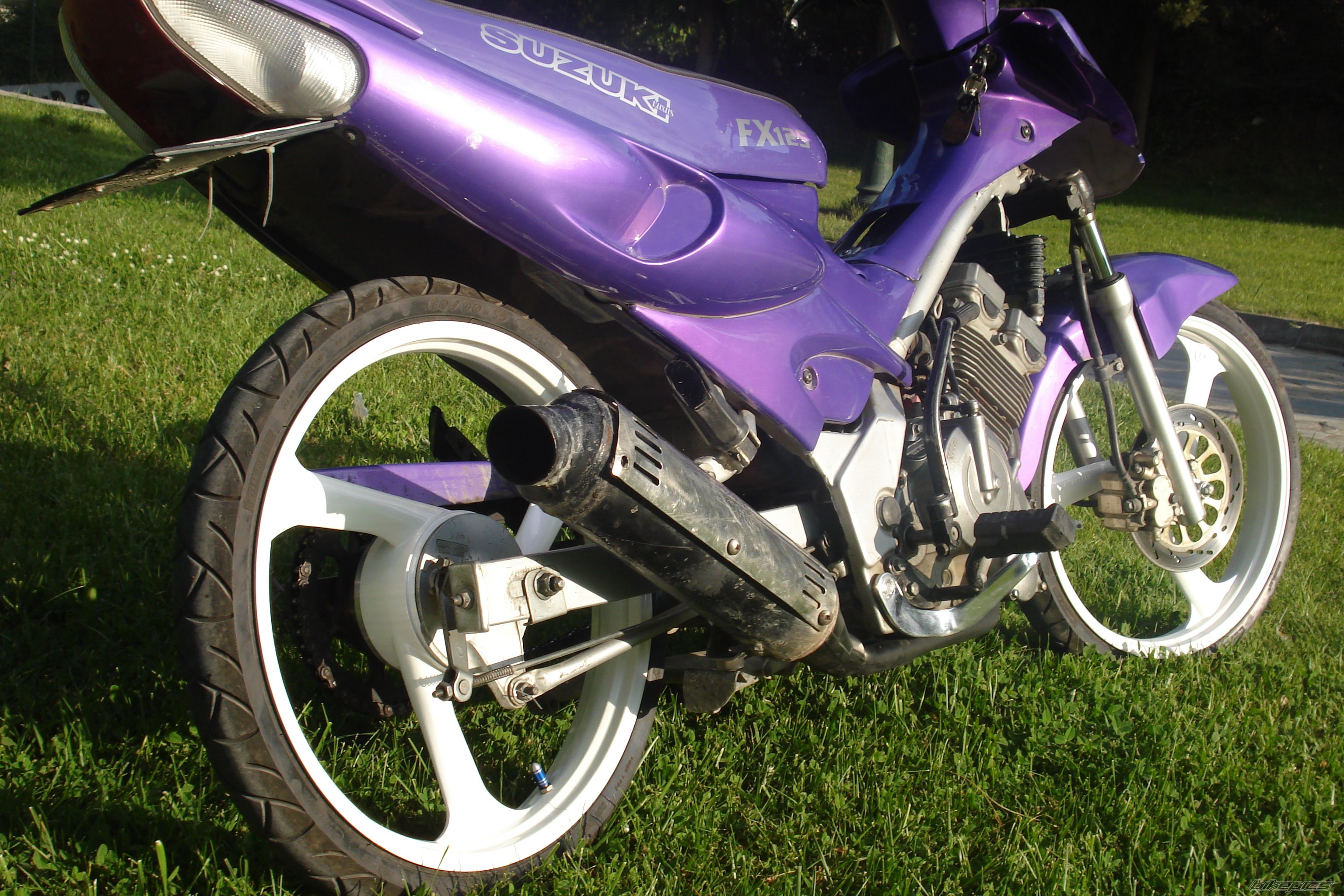 Photo 1264969