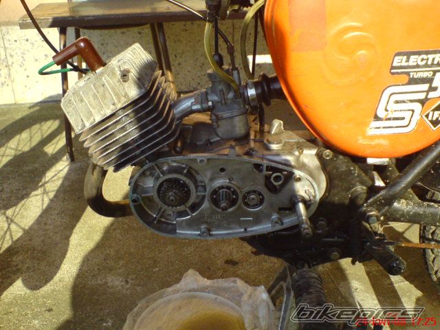 Photo 1264989