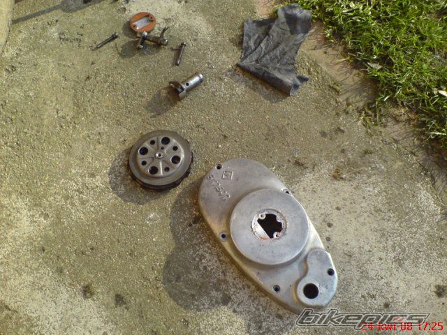 Photo 1264993