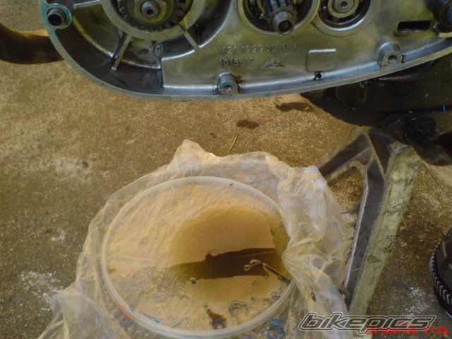 Photo 1264994