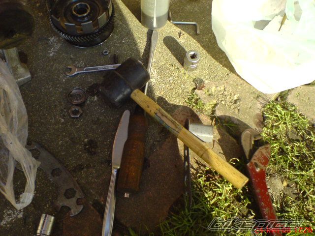 Photo 1264995