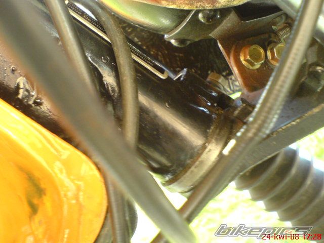 Photo 1265007