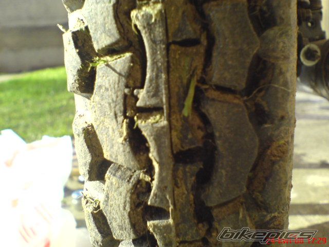 Photo 1265010