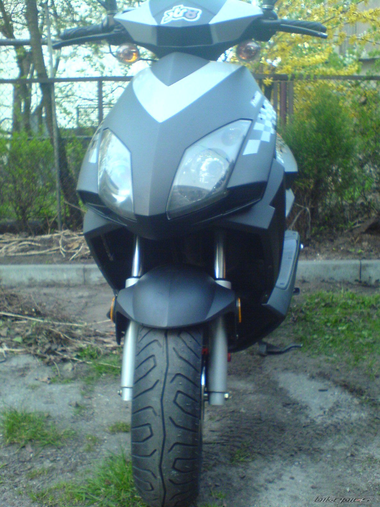 Photo 1265016