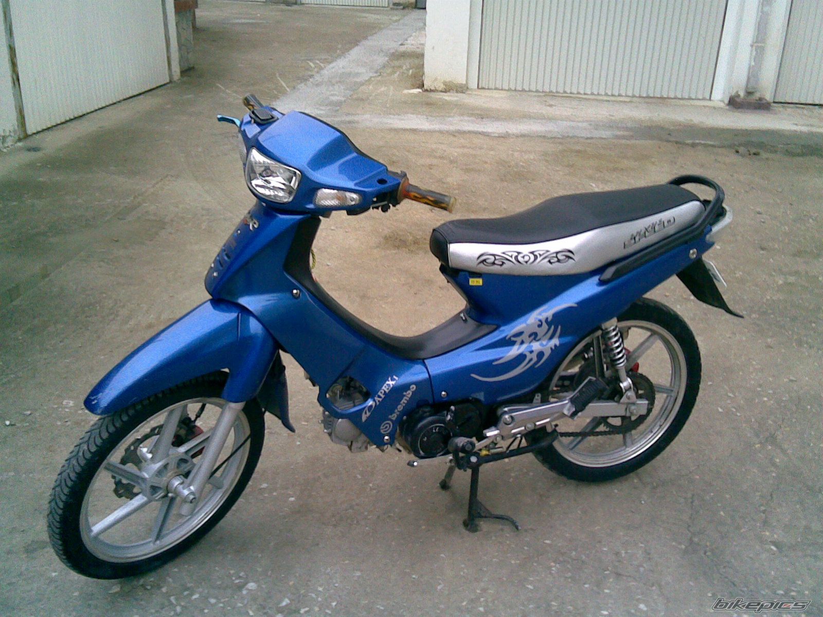 Photo 1265033