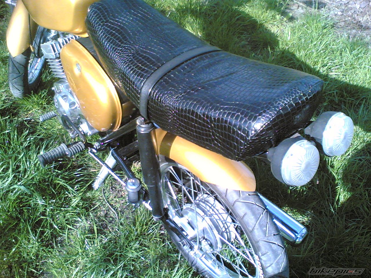 Photo 1265129