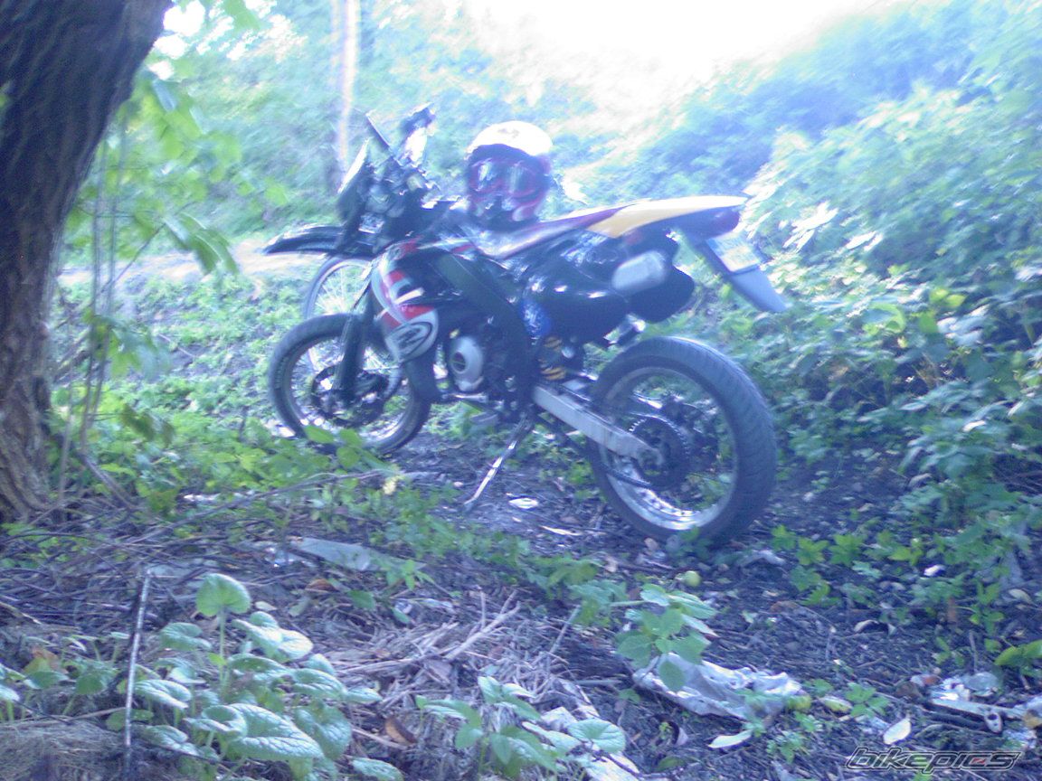 Photo 1265131