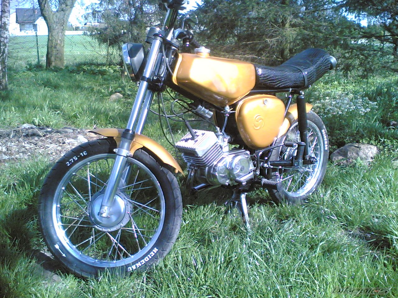 Photo 1265135