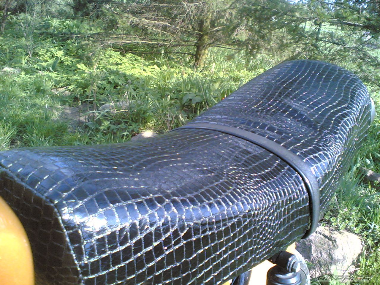 Photo 1265147